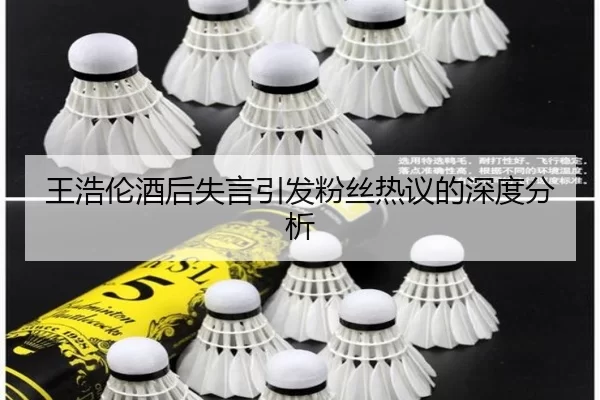 王浩伦酒后失言引发粉丝热议的深度分析