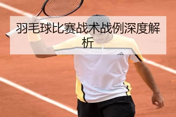 羽毛球比赛战术战例深度解析